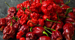 Přehnali jste to s chilli papričkami? Ještě se to dá zachránit!