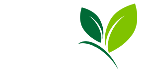 Certifikované osivo paprik s rostlinolékařským pasem ÚKZUZ