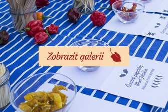 Chilli catering Volkswagen Financial Services