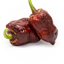 7 Pot Bubblegum Choco