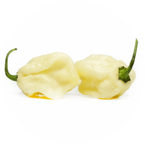 7 Pot White