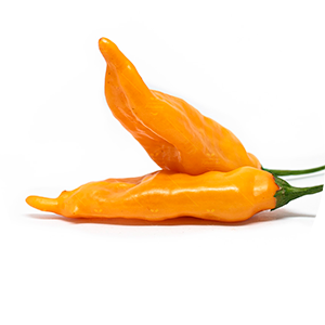 Ají Mango