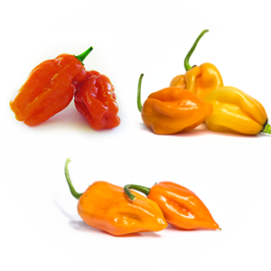 Balíček - Habaneros