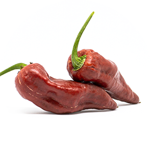 Bhut Jolokia Caramel