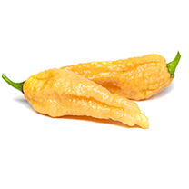 Bhut Jolokia Peach
