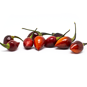 Bico Roxa