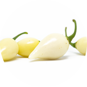 Chupetinho White