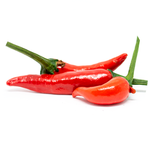 Bornean Chilli