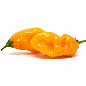 Carbonero