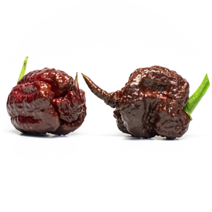 Carolina Reaper Choco