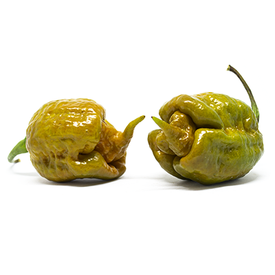 Carolina Reaper Mustard