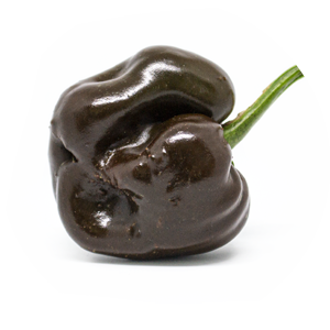 Chile de Onza
