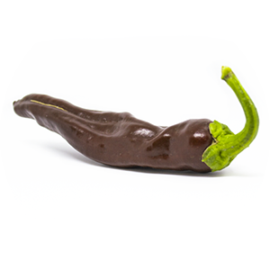 Ethiopian Brown