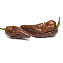 Fatalii Brown
