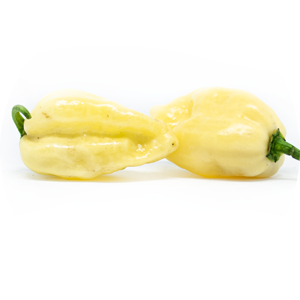 Fatalii White