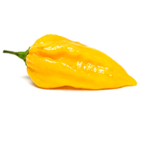 Fatalii Yellow