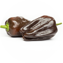 Habanero Chocolate