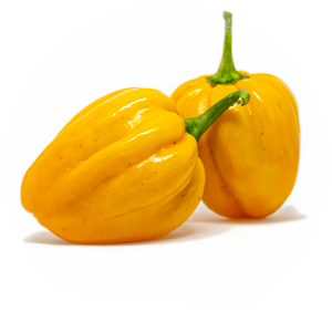 Habanero West Indian