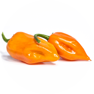 Habanero Orange