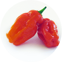 Habanero Red