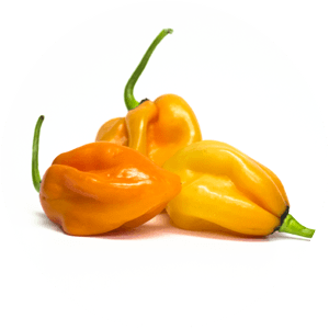 Habanero Yellow