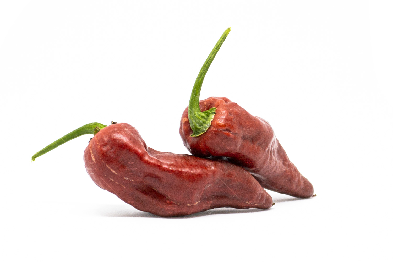 Bhut Jolokia Caramel