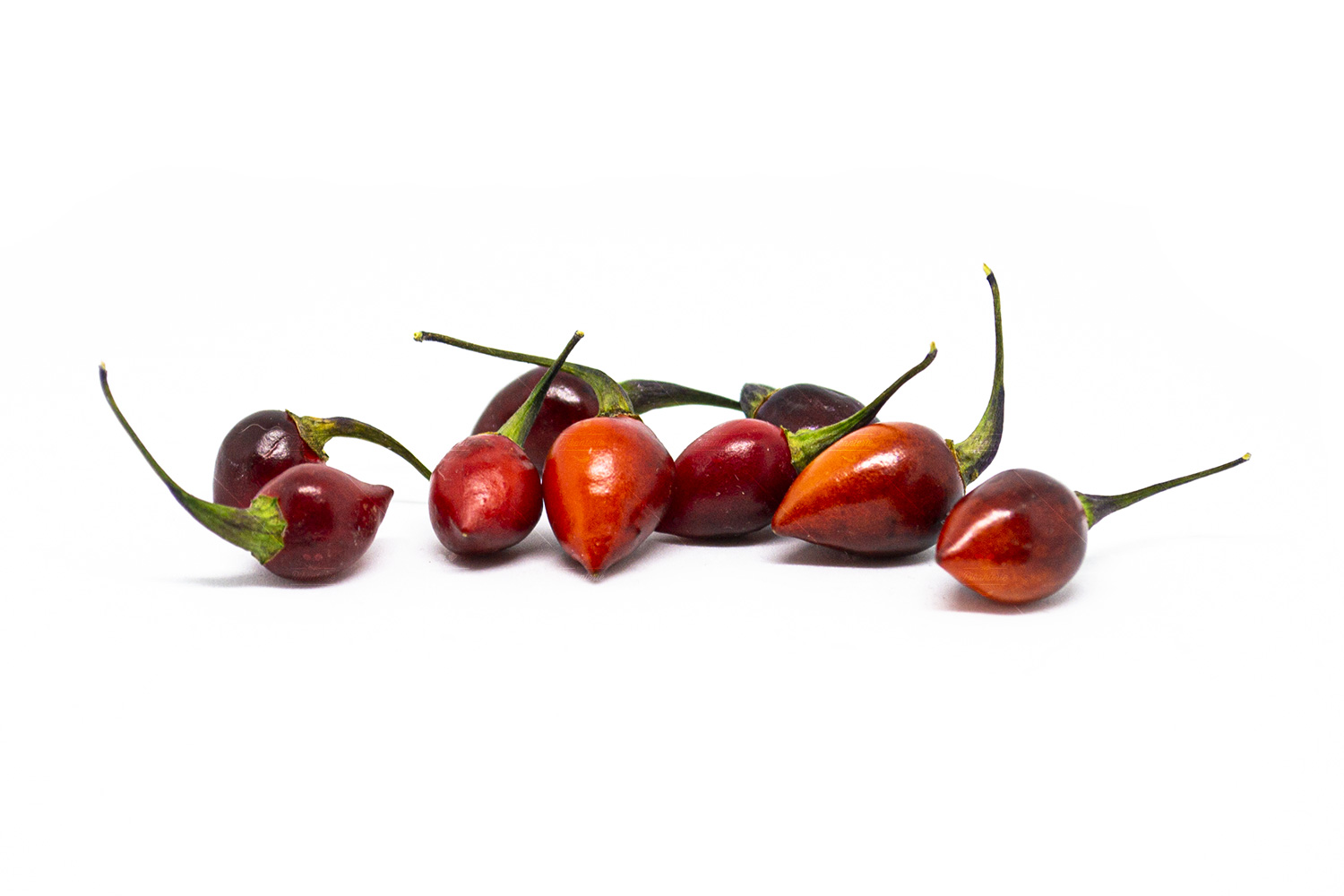 Bico Roxa