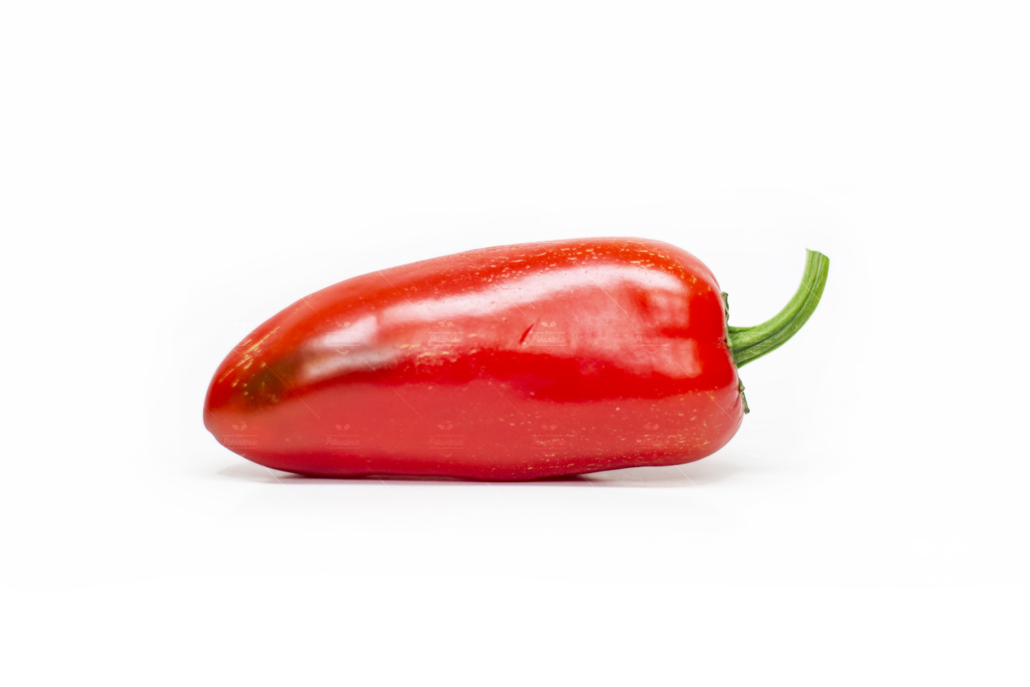 Jalapeno Conchos