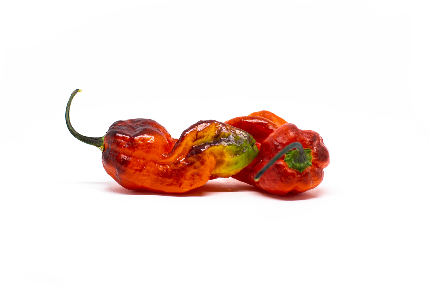 Pimenta Chris Fat