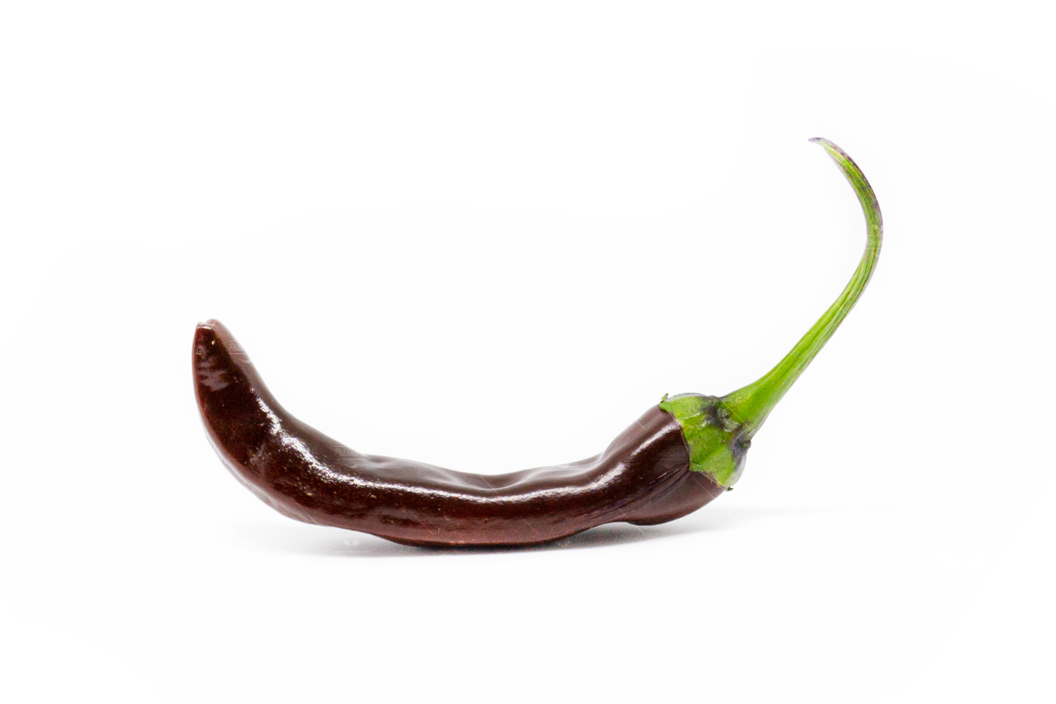 Thai Brown