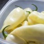 Bhut Jolokia White