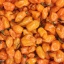 Ferment Habanero & Citron
