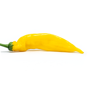 Inca Hot