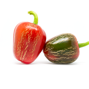 Jalapeno Dieghito
