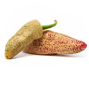 Jalapeno Farmers