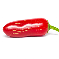 Jalapeno Maylon