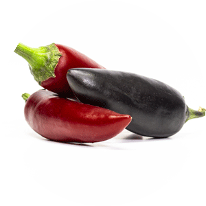 Jalapeno Purpur