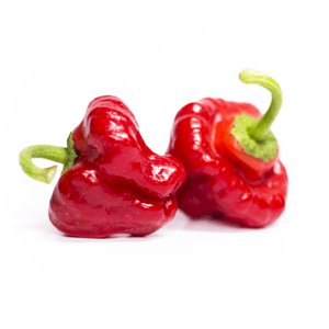 Jamaican Red