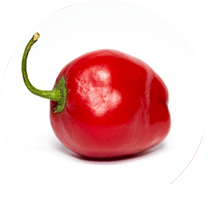 Rocoto Red Giant