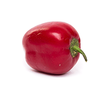 Rocoto Manzano Red