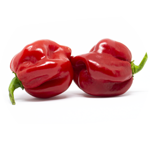 Scotch Bonnet