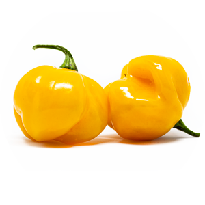 Scotch Bonnet Yellow