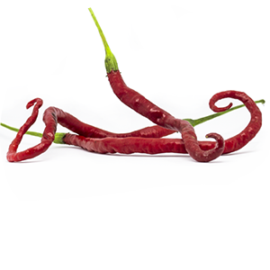 Spaghetti Chilli