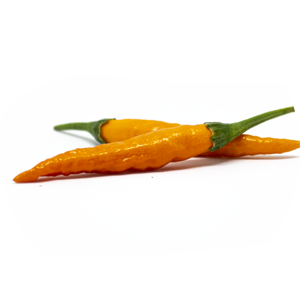 Thai Orange