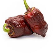 7 Pot Bubblegum Choco