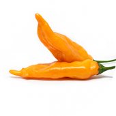 Ají Mango
