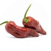 Bhut Jolokia Caramel