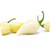 Chupetinho White