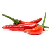 Bornean Chilli