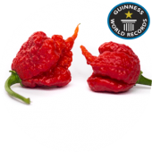 Carolina Reaper HP22B